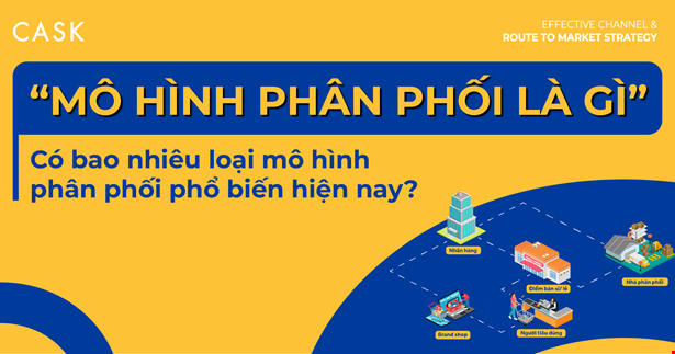 Mô Hình Phân Phối Là Gì? Khám Phá 7 Loại Mô Hình Phân Phối Phổ Biến 